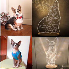 Load image into Gallery viewer, Custom Photo 3D Lamp - ISUNGIFTS